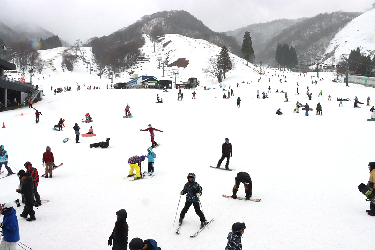 公式】グランスノー奥伊吹｜関西最大級のスキー場で冬を楽しもう！