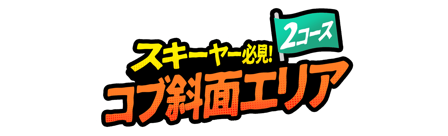 スキーヤー必見!コブ斜面エリア